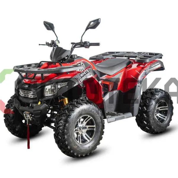 Электроквадроцикл White Siberia (Белая Сибирь) SNEG PRO MAX 6000W