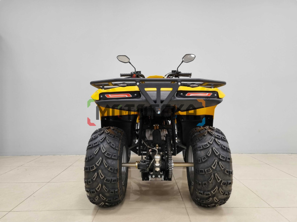 Квадроцикл IRBIS (Ирбис) ATV 200 LUX 2024 желтый с ПСМ | Мототека